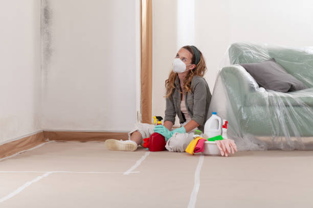 Reliable Commercial Mold Remediation contractor in Rhodelia, KY by 24 Hour Mold Removal